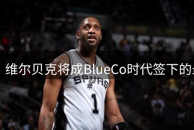 维尔贝克将成BlueCo时代签下的最年长球员，但可能被亨德森超越